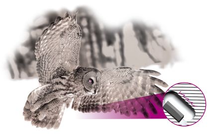 An "owl wing" smoothes the air flow by means of the serrated edge and scatters noise, which allows nearly noiseless flight characteristics without having a negative effect on the aerodynamics. LEUCO has used this concept of learning from nature to make sizing tools even more aerodynamic and to achieve further effects in noise reduction! LEUCO has filed a patent for this aerodynamic design named "airFace".